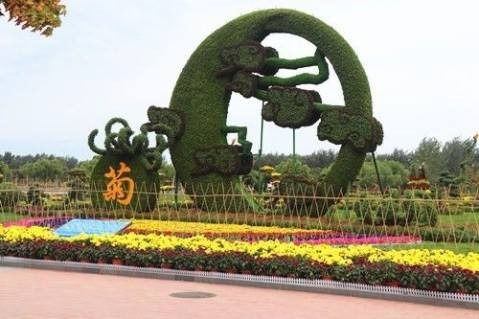 四川成都五色草雕塑廠 大象五色草綠雕造型可來(lái)圖定制各個(gè)精致