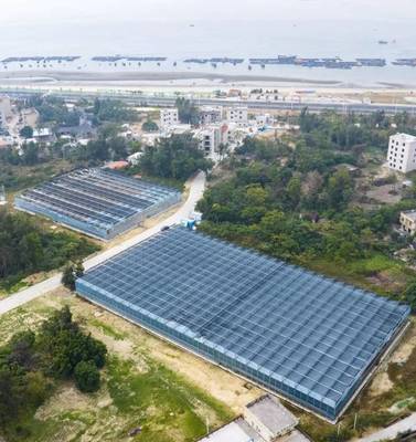 茂名西葛“百千萬工程”示范點 新晉“城市陽臺”網(wǎng)紅打卡地